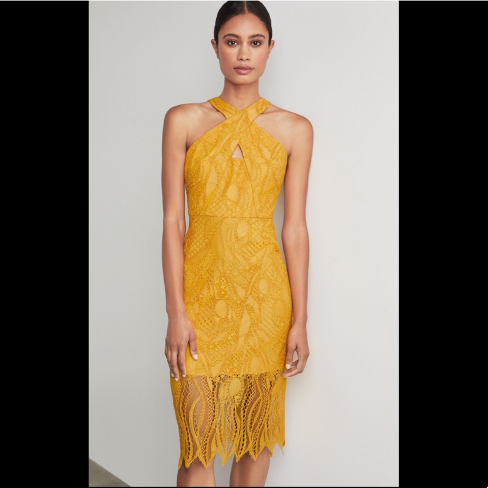 BCBG Crisscross Abstract Lace Dress